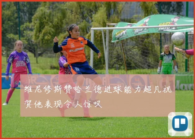 维尼修斯赞哈兰德进球能力超凡祝贺他表现令人惊叹