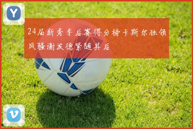 24届新秀季后赛得分榜卡斯尔独领风骚谢泼德紧随其后